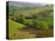 Countryside in Val d'Orcia-Dennis Degnan-Premier Image Canvas