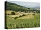 Countryside Near St. Jean Pied De Port, Basque Country, Pyrenees-Atlantiques, Aquitaine, France-R H Productions-Premier Image Canvas