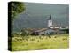 Countryside Near St. Jean Pied De Port, Basque Country, Pyrenees-Atlantiques, Aquitaine, France-R H Productions-Premier Image Canvas