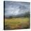 Countryside Storm-Bill Philip-Stretched Canvas