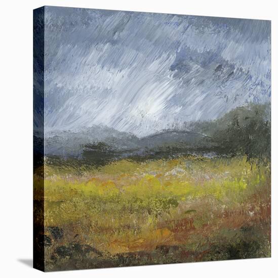 Countryside Storm-Bill Philip-Stretched Canvas