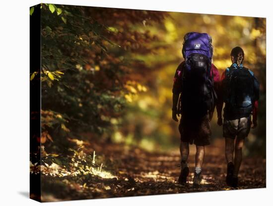 Couple Hiking-null-Premier Image Canvas