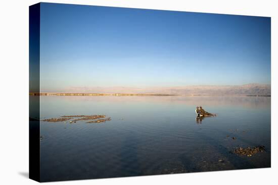 Couple in Healing Mud, Dead Sea, Israel-David Noyes-Premier Image Canvas