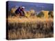 Couple Mountain Biking in Fall-null-Premier Image Canvas