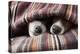 Couple of Dogs in Love Sleeping Together under the Blanket in Bed-Javier Brosch-Premier Image Canvas