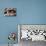 Couple of Dogs-Javier Brosch-Premier Image Canvas displayed on a wall