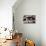 Couple of Dogs-Javier Brosch-Premier Image Canvas displayed on a wall