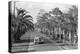 Couple Ride in Car/Tree-Lined Street-Bettmann-Premier Image Canvas