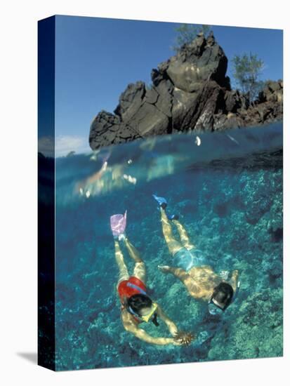 Couple Snorkeling-Amos Nachoum-Premier Image Canvas