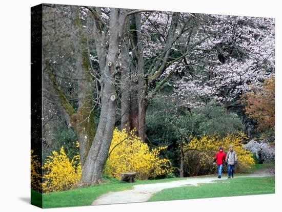 Couple Strolls through the Washington Park Arboretum, Seattle, Washington, USA-William Sutton-Premier Image Canvas