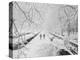 Couple Walking Through Park in Snow-Bettmann-Premier Image Canvas