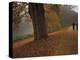 Couple Walking Through the Jephson Gardens in Autumn, Leamington Spa, Warwickshire, England-David Hughes-Premier Image Canvas