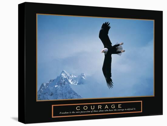 Courage - Bald Eagle-unknown unknown-Stretched Canvas