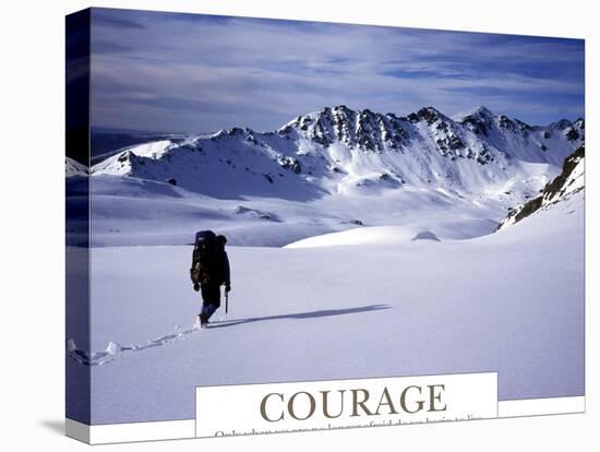Courage-AdventureArt-Premier Image Canvas