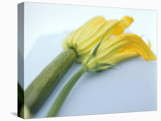 Courgette Flowers: Female with Fruit and Male with Stalk-null-Premier Image Canvas