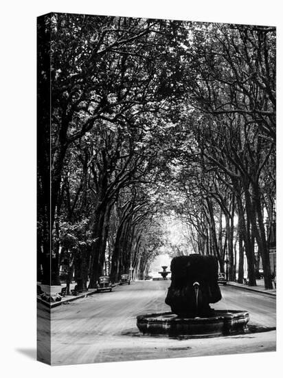 Cours Mirabeau, One of the Main Avenues in Aix En Provence-Gjon Mili-Premier Image Canvas