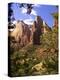 Court of The Patriarchs, Zion National Park, Utah, USA-Michael DeFreitas-Premier Image Canvas