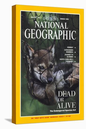 Cover of the March, 1995 National Geographic Magazine-Joel Sartore-Premier Image Canvas