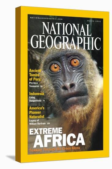 Cover of the March, 2001 National Geographic Magazine-Michael Nichols-Premier Image Canvas