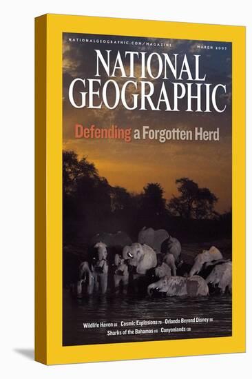 Cover of the March, 2007 National Geographic Magazine-Michael Nichols-Premier Image Canvas