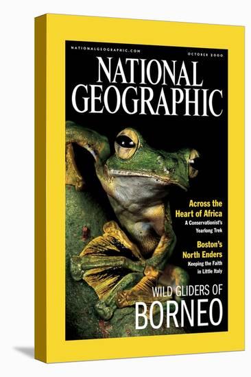 Cover of the October, 2000 National Geographic Magazine-Tim Laman-Premier Image Canvas