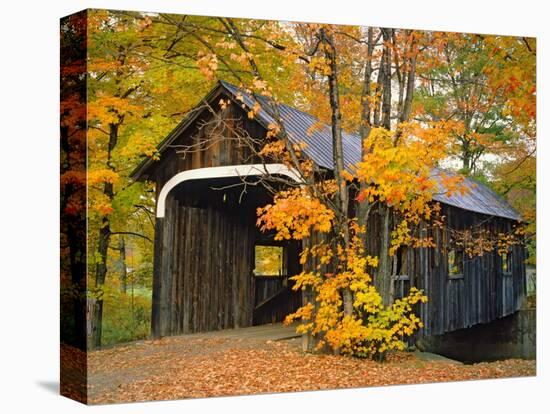 Covered Bridge and Maple Trees-James Randklev-Premier Image Canvas