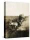 Covered Wagons on the Plains Going West-Bettmann-Premier Image Canvas