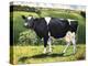 Cow 2021 (oil on canvas)-Tilly Willis-Premier Image Canvas