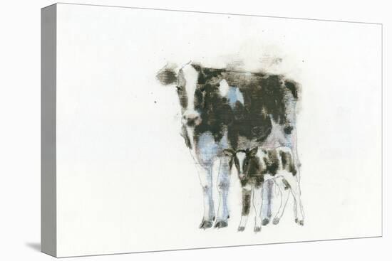 Cow and Calf Light-Emily Adams-Stretched Canvas