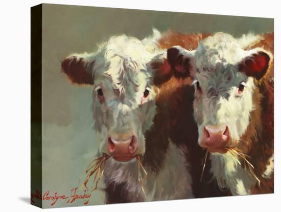 Cow Belles-Carolyne Hawley-Stretched Canvas