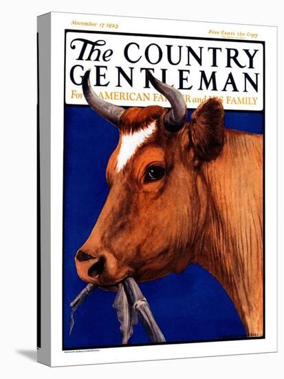 "Cow Chewing Corn Stalk," Country Gentleman Cover, November 17, 1923-Charles Bull-Premier Image Canvas