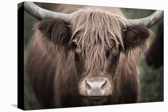 Cow Nose Light-Nathan Larson-Premier Image Canvas