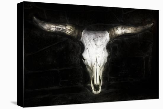 Cow Skull-PHBurchett-Stretched Canvas
