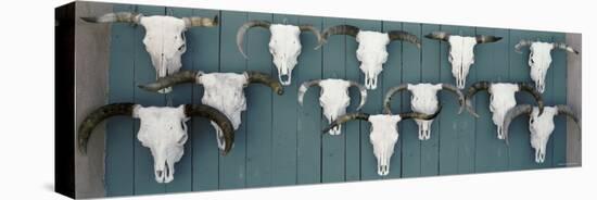 Cow Skulls Hanging on Planks, Taos, New Mexico, USA-null-Premier Image Canvas