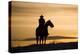 Cowboy at Sunset-Darrell Gulin-Premier Image Canvas