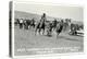 Cowboy Bulldogging, Montana-null-Stretched Canvas