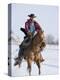 Cowboy Cantering Through Snow on Chestnut Red Dun Quarter Horse Gelding, Berthoud, Colorado, USA-Carol Walker-Premier Image Canvas