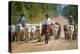 Cowboy Herding Cattle, Pantanal Wetlands, Brazil-null-Stretched Canvas