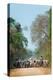 Cowboy Herding Cattle, Pantanal Wetlands, Brazil-null-Stretched Canvas