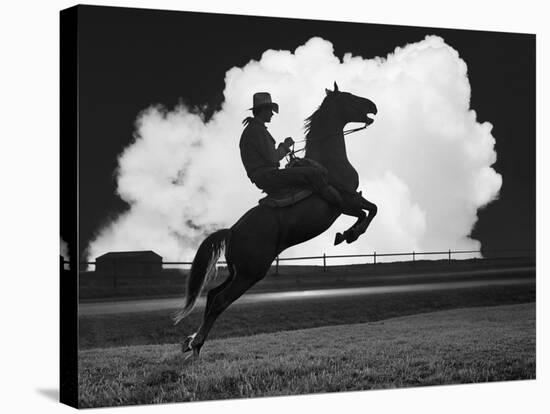 Cowboy & Horse-Monte Nagler-Premier Image Canvas