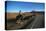 Cowboy on his horse on a highway near Hanksville, Utah, USA-null-Stretched Canvas