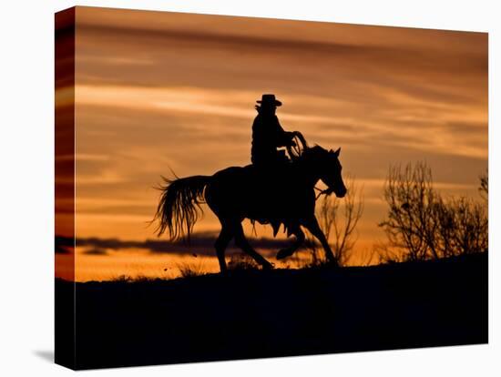 Cowboy on Horses on Hideout Ranch, Shell, Wyoming, USA-Joe Restuccia III-Premier Image Canvas