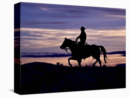 Cowboy on Horses on Hideout Ranch, Shell, Wyoming, USA-Joe Restuccia III-Premier Image Canvas