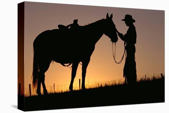 Cowboy Petting Horse at Sunset-Darrell Gulin-Premier Image Canvas
