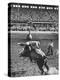 Cowboy Riding a Brahman Bull, at Iowa State Fair-John Dominis-Premier Image Canvas