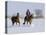 Cowboy Riding Red Dun Quarter Horse Gelding Through Snow, Bethoud, Colorado, USA-Carol Walker-Premier Image Canvas