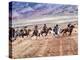 Cowboy's in Motion across the Field-Terry Eggers-Premier Image Canvas