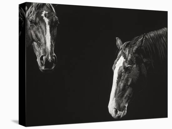 Cowboy Scratchboard III-Julie Chapman-Stretched Canvas