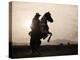 Cowboy Sunset-Kimberly Allen-Stretched Canvas