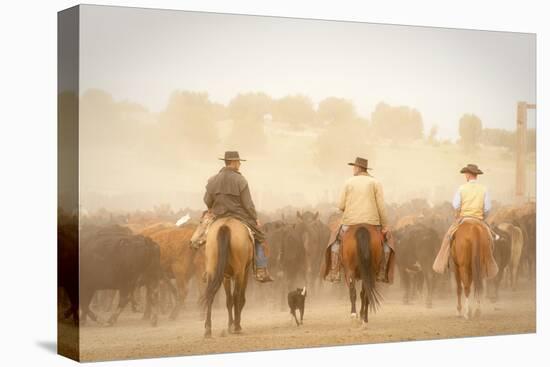 Cowboys Best Friend-Dan Ballard-Premier Image Canvas